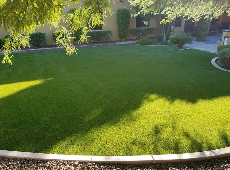 Pet Friendly Artificial Turf