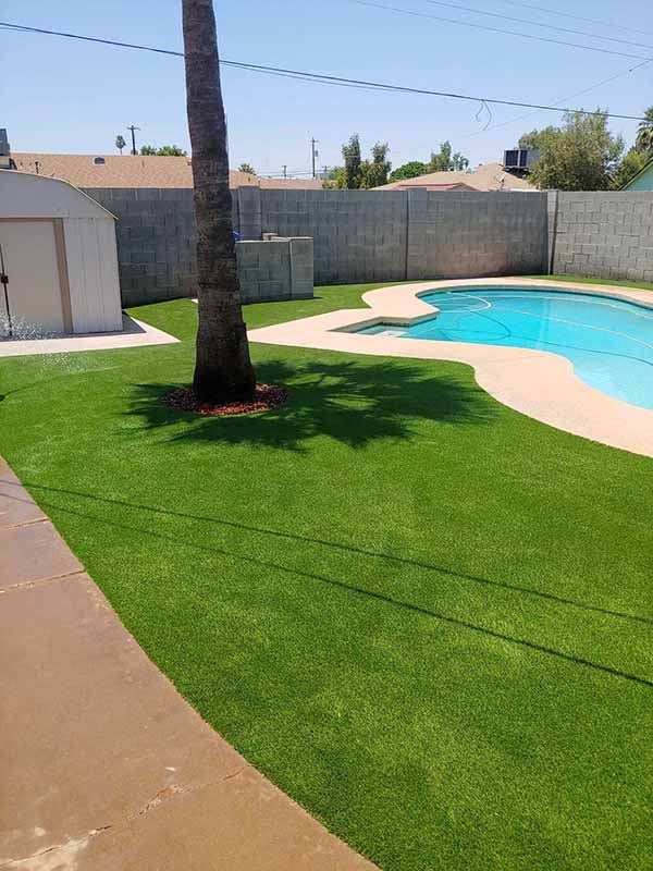 65oz Fescue Turf by Pool