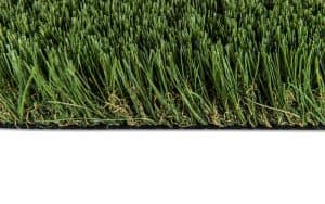 65oz-Fescue