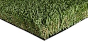 80oz-Fescue