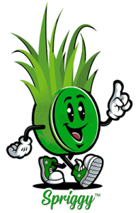 arizona turf depot logo