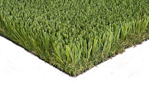 AZ Turf Evergreen Series