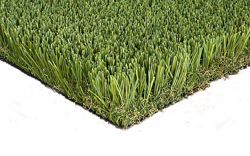 AZ Turf Evergreen Series