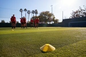 Natural Artificial Turf